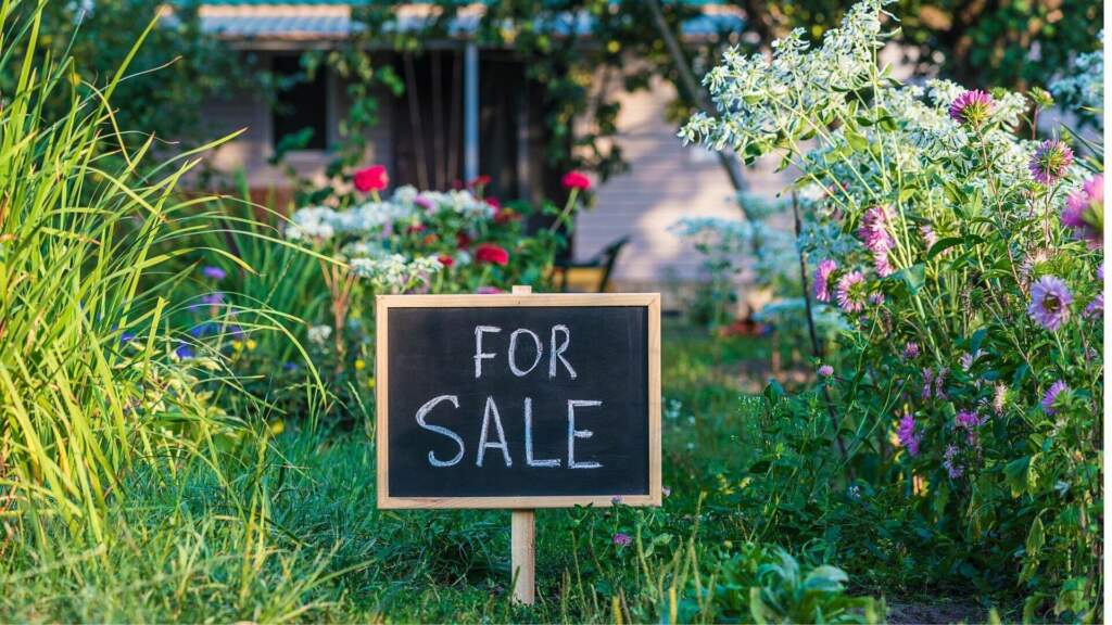 Overseas Property Buying Process