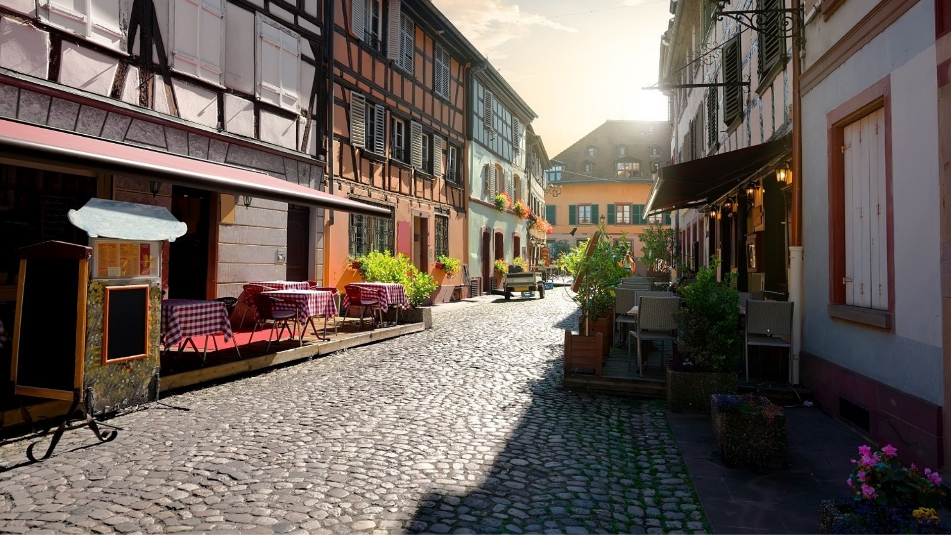 A Guide To Winter Viewing Trips In France