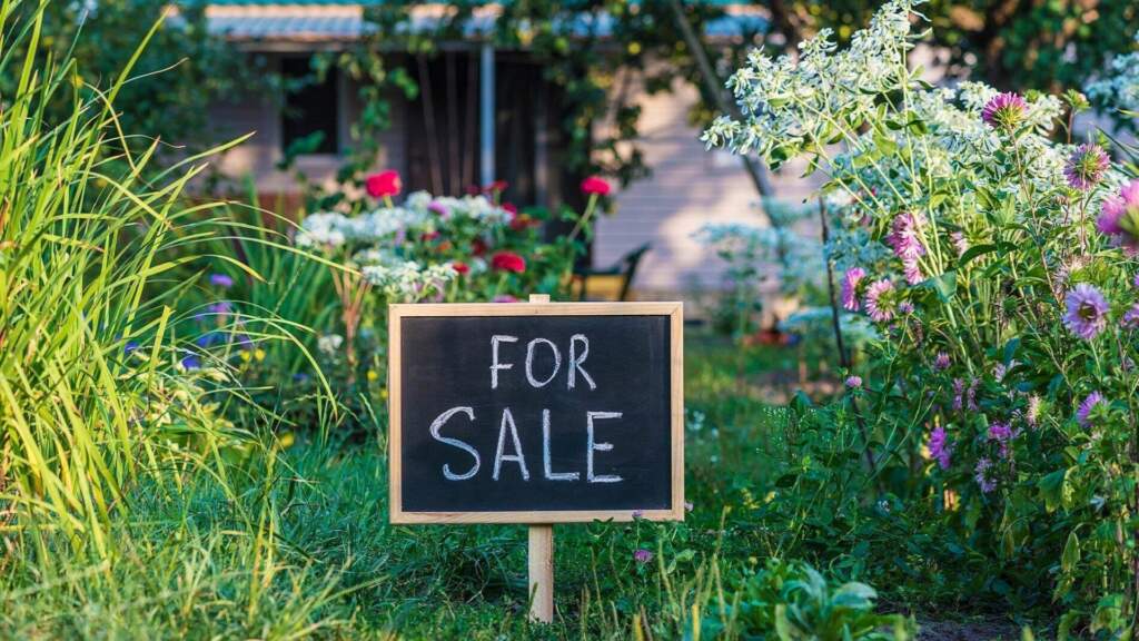Overseas Property Buying Process