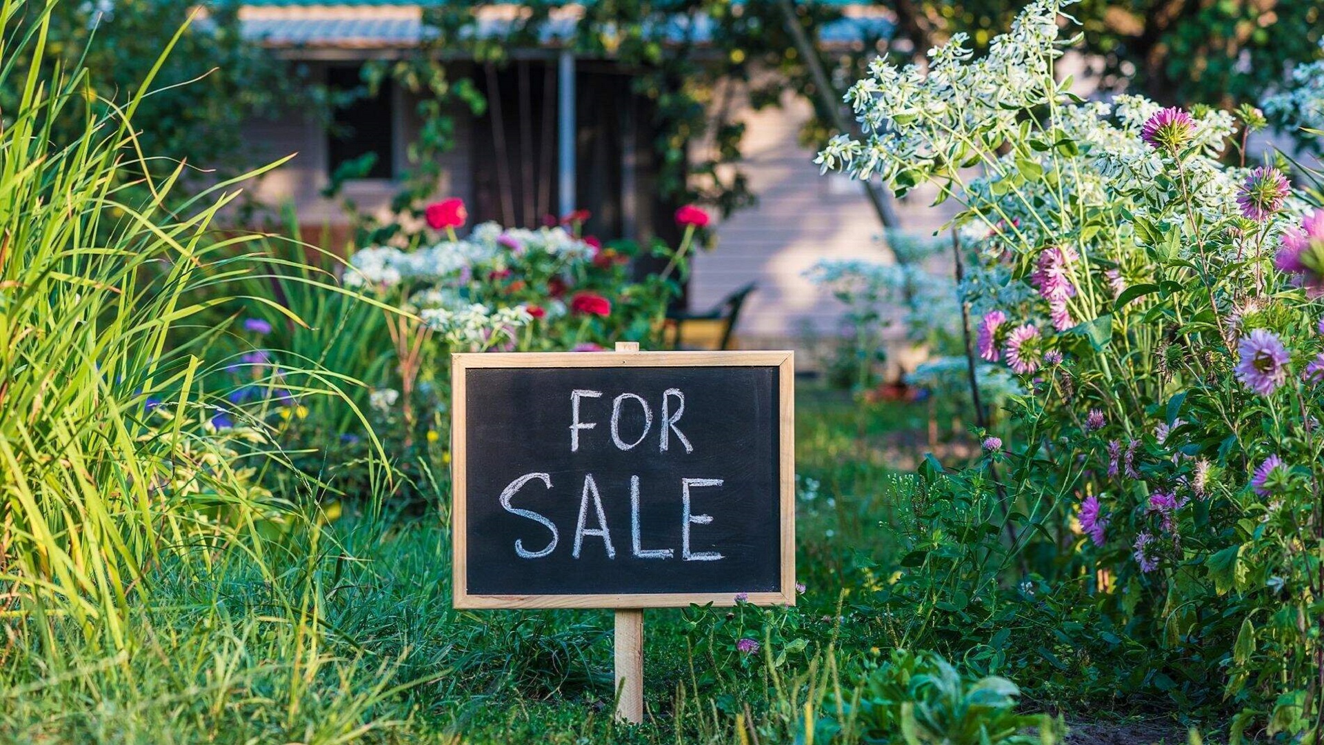 Overseas Property Buying Process