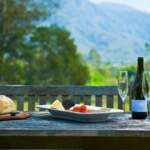 Languedoc Lifestyle