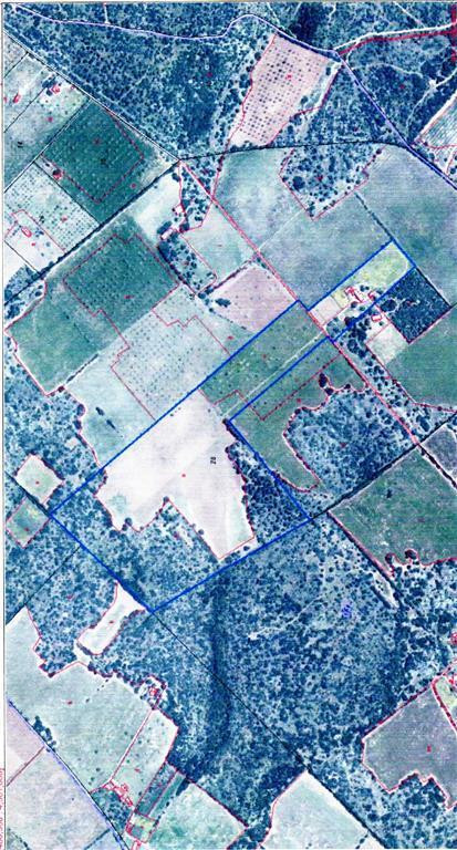 Land, For Sale