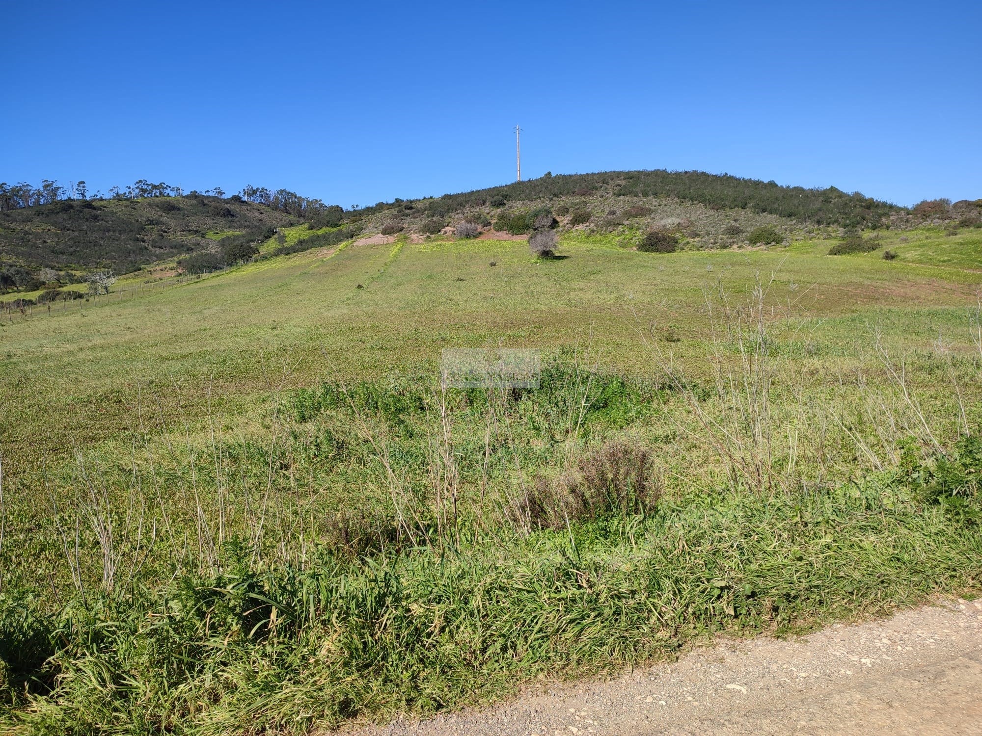 Land, For Sale