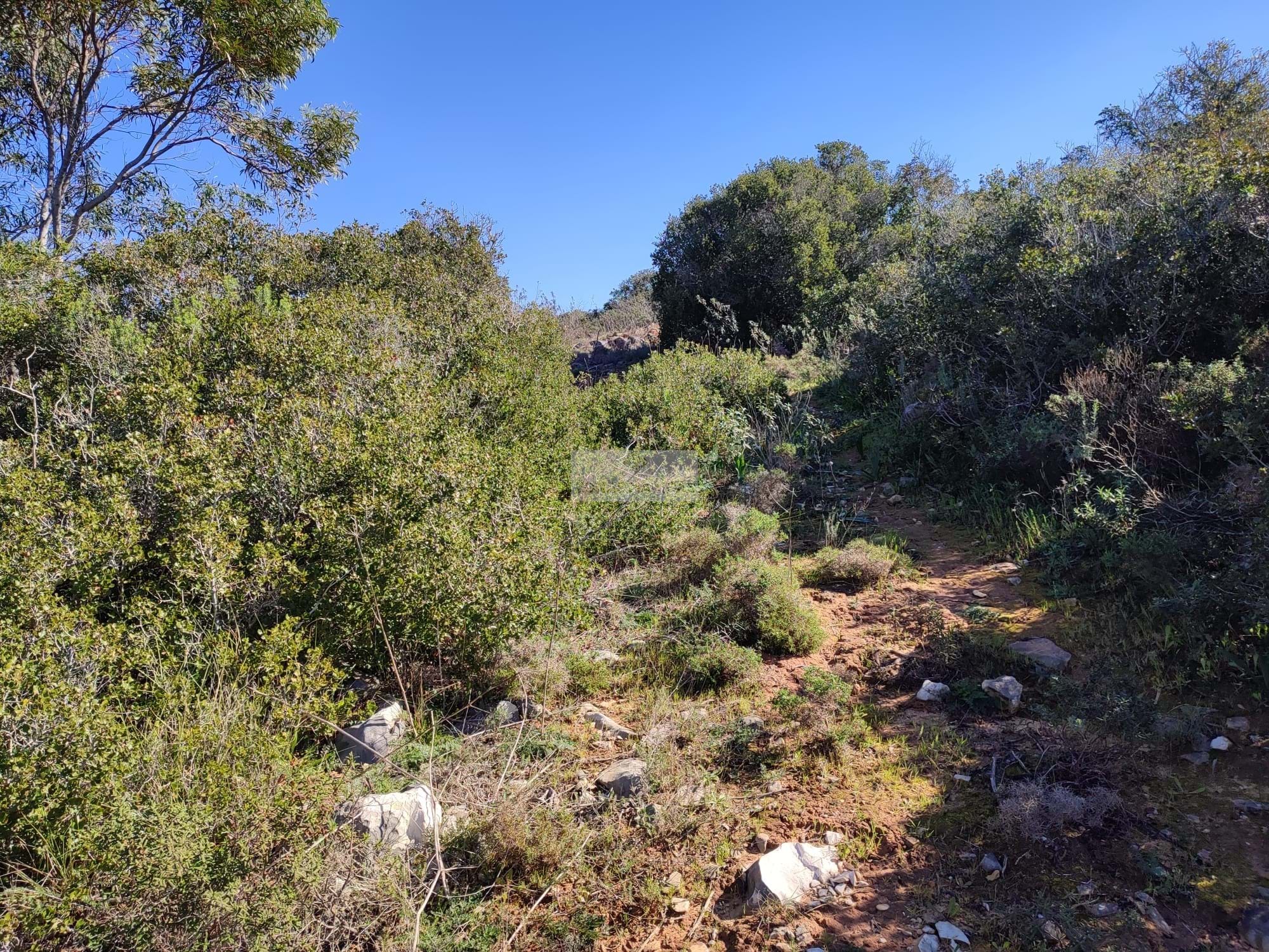 Land, For Sale