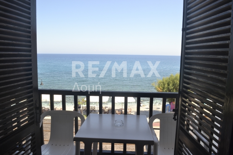 HouseFor Sale, Agios ioannis, Mouresi, Magnesia