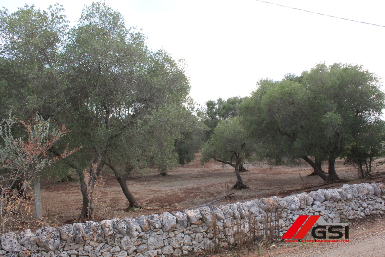 Land, For Sale