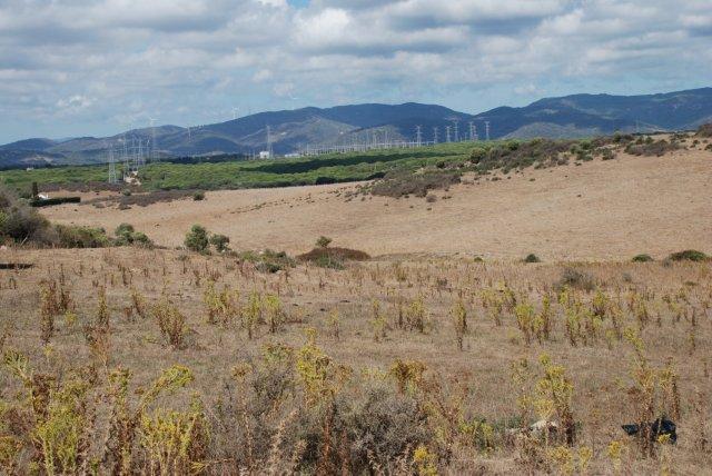 Land, For Sale
