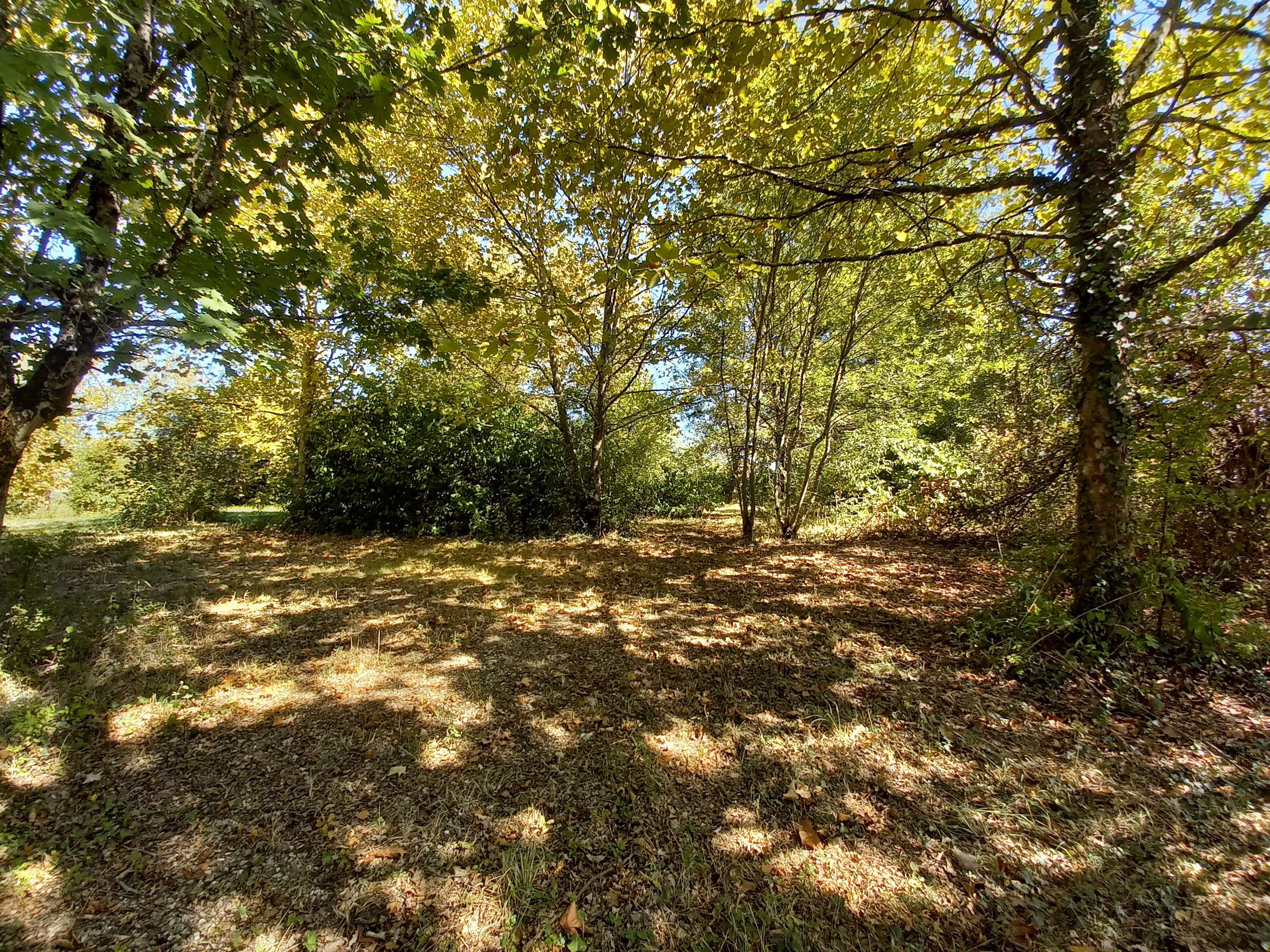 Land, For Sale