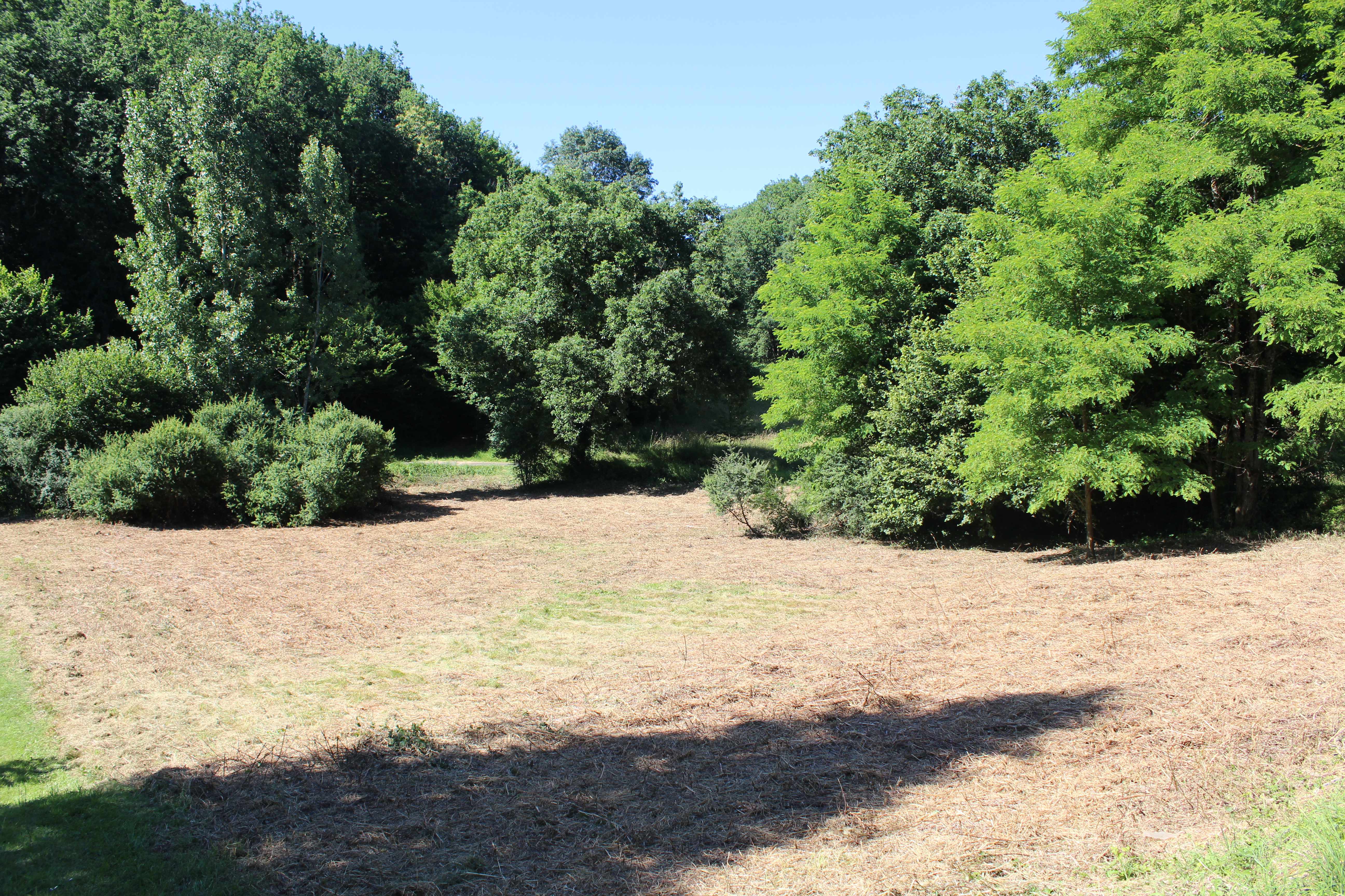 Land, For Sale