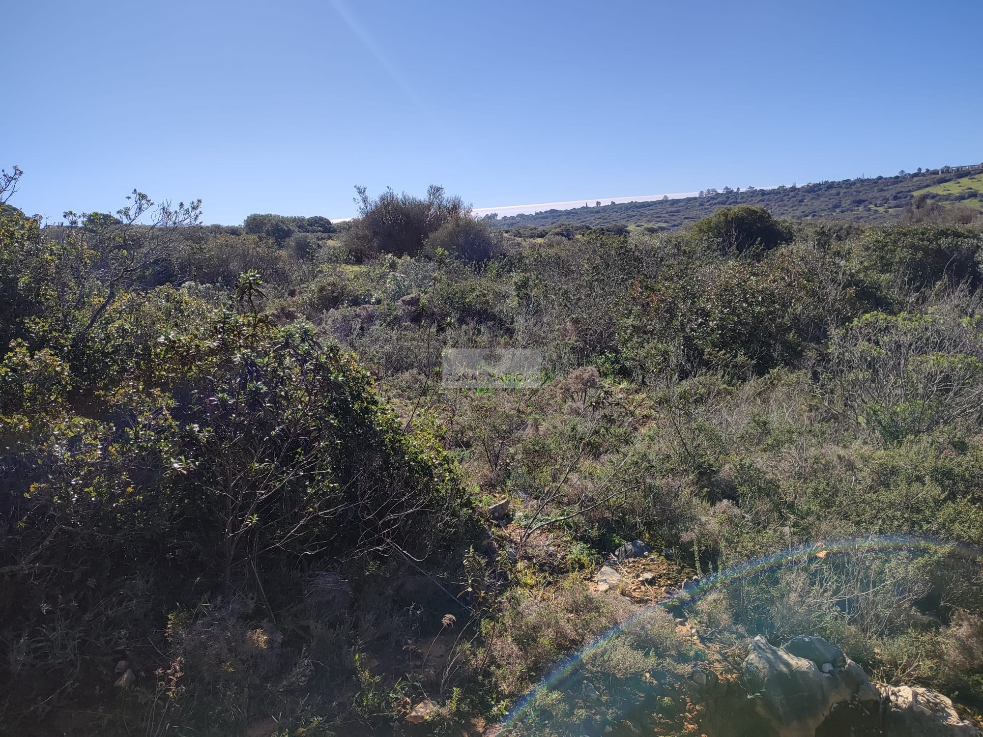 Land, For Sale