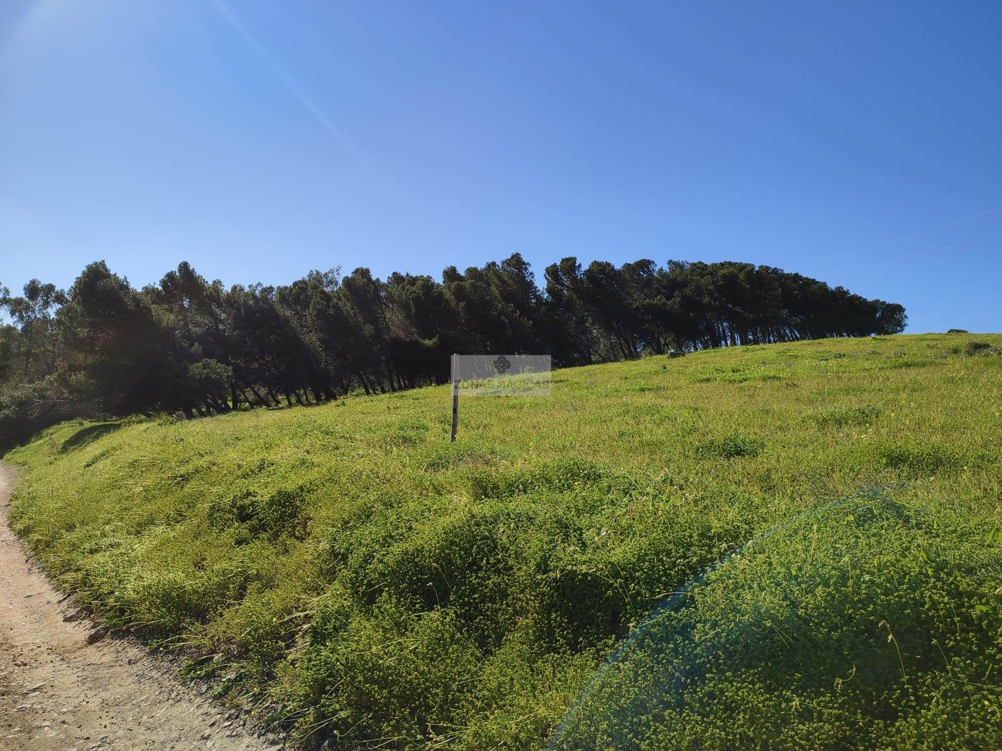 Land, For Sale