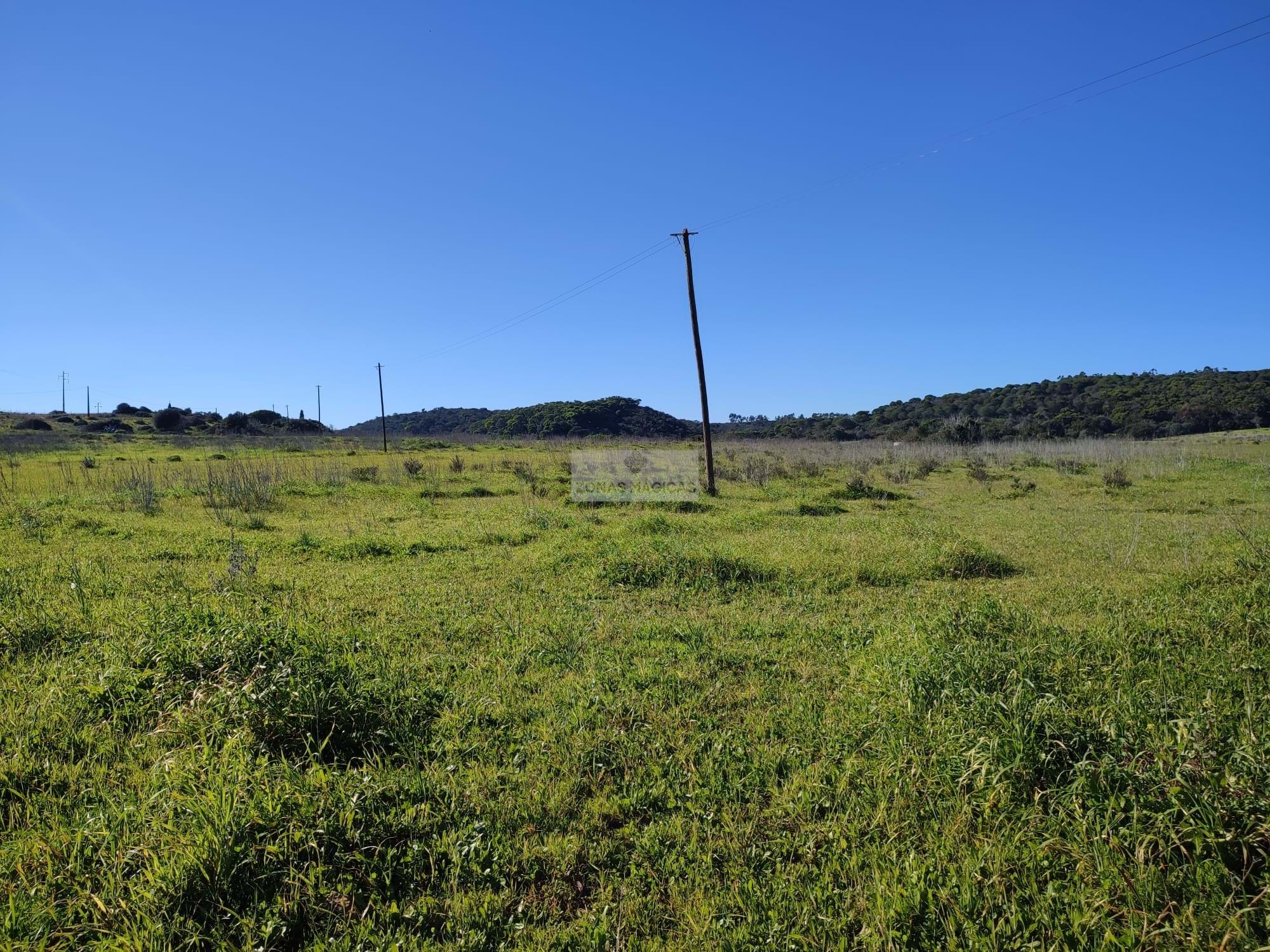 Land, For Sale