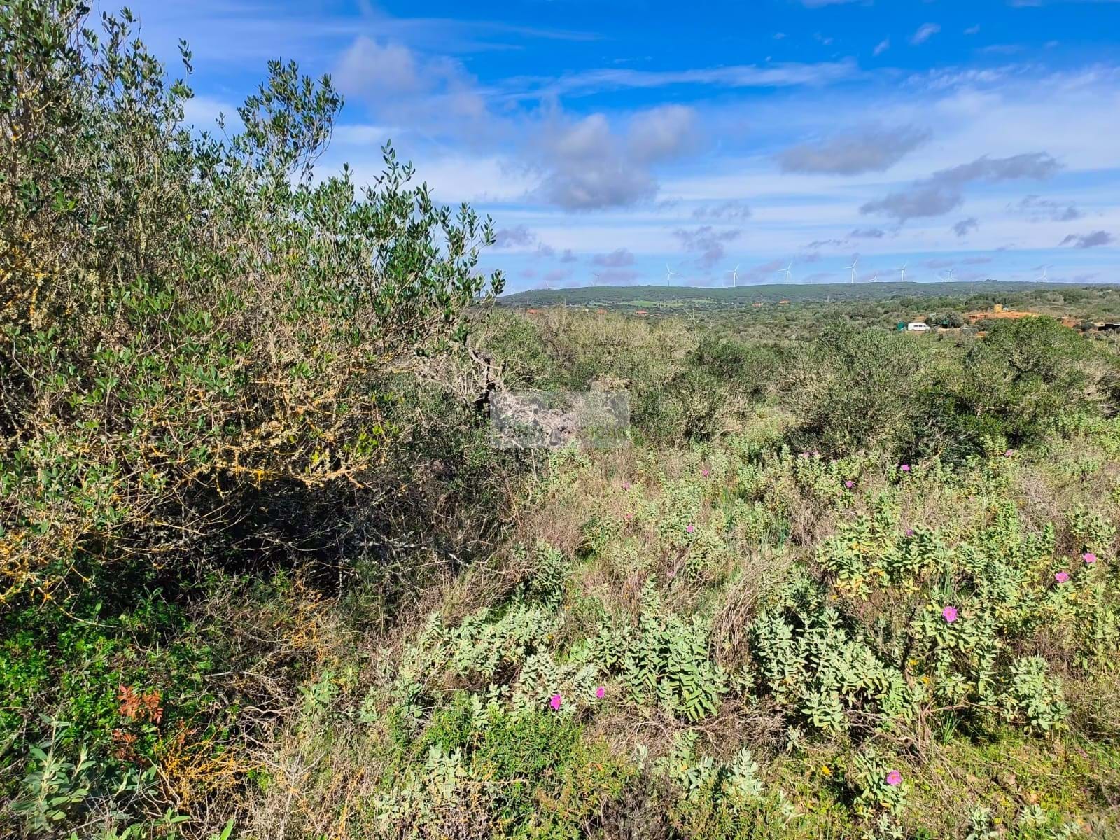 Land, For Sale