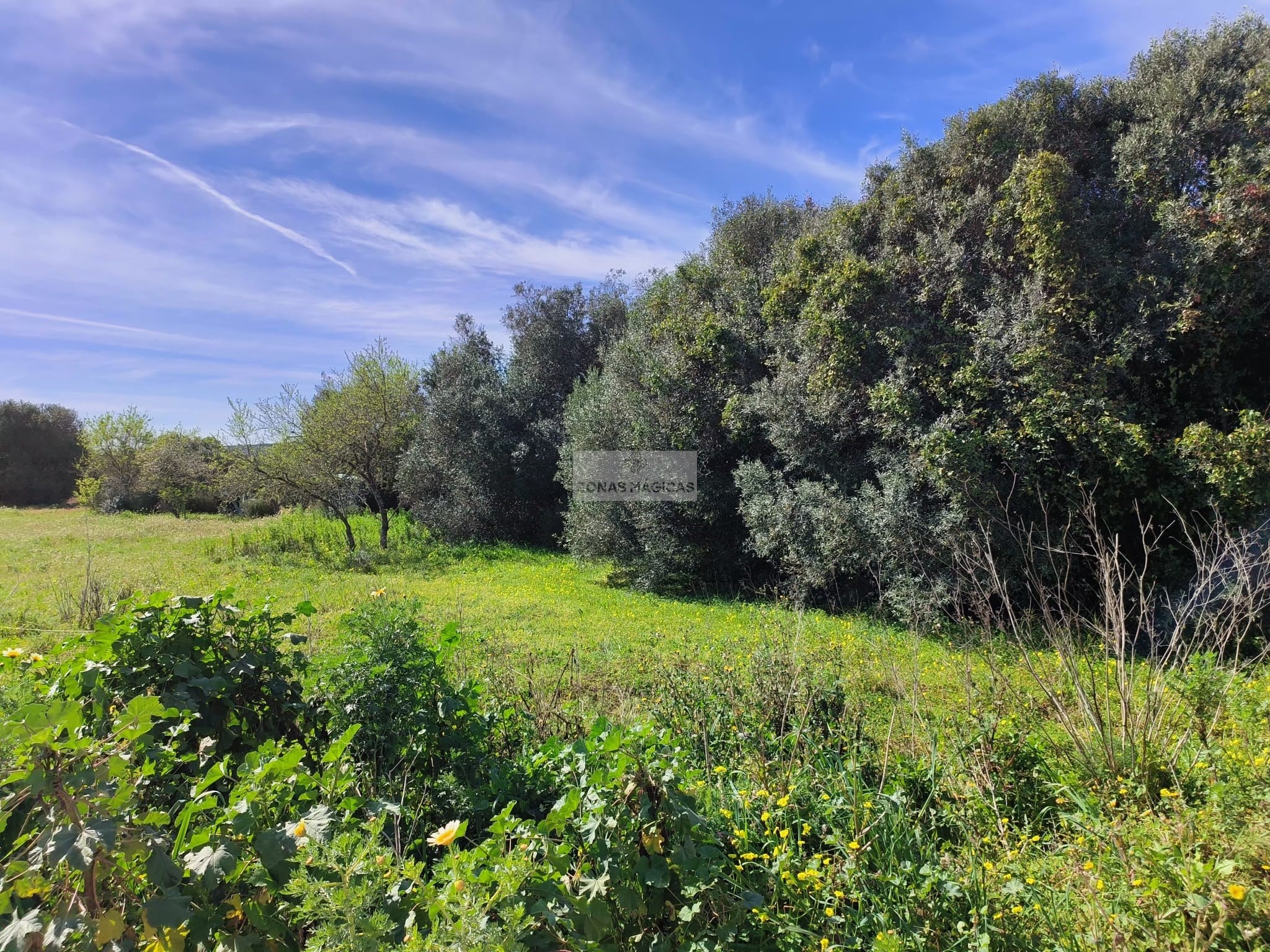 Land, For Sale