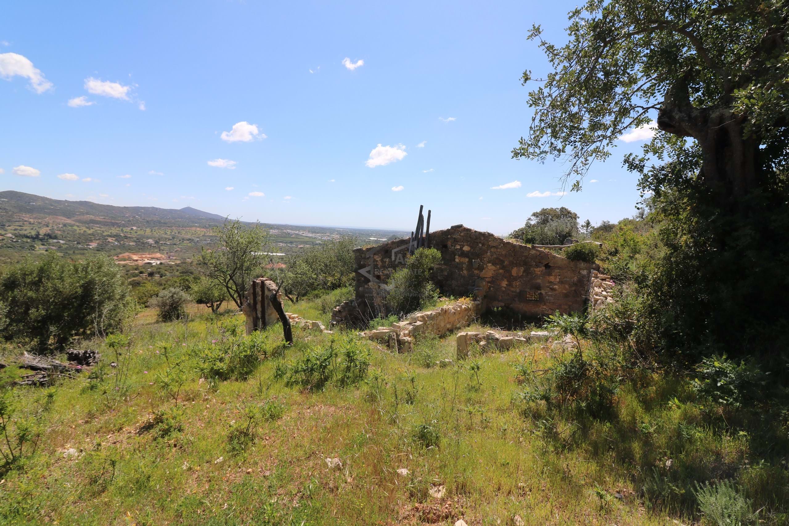 Land, For Sale