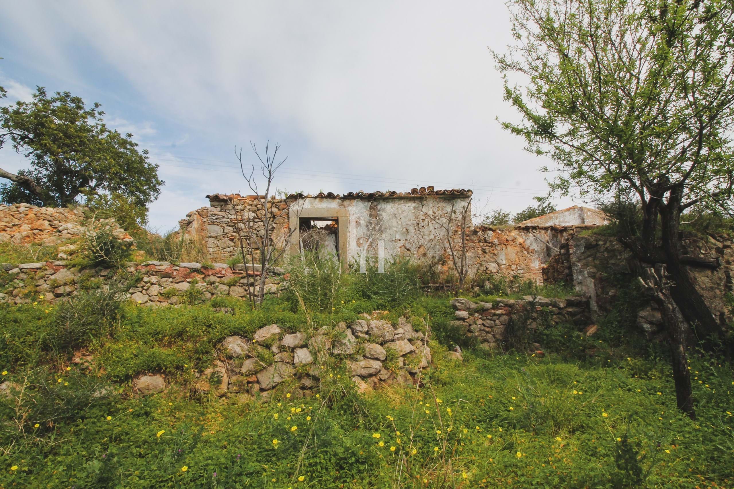 Land, For Sale