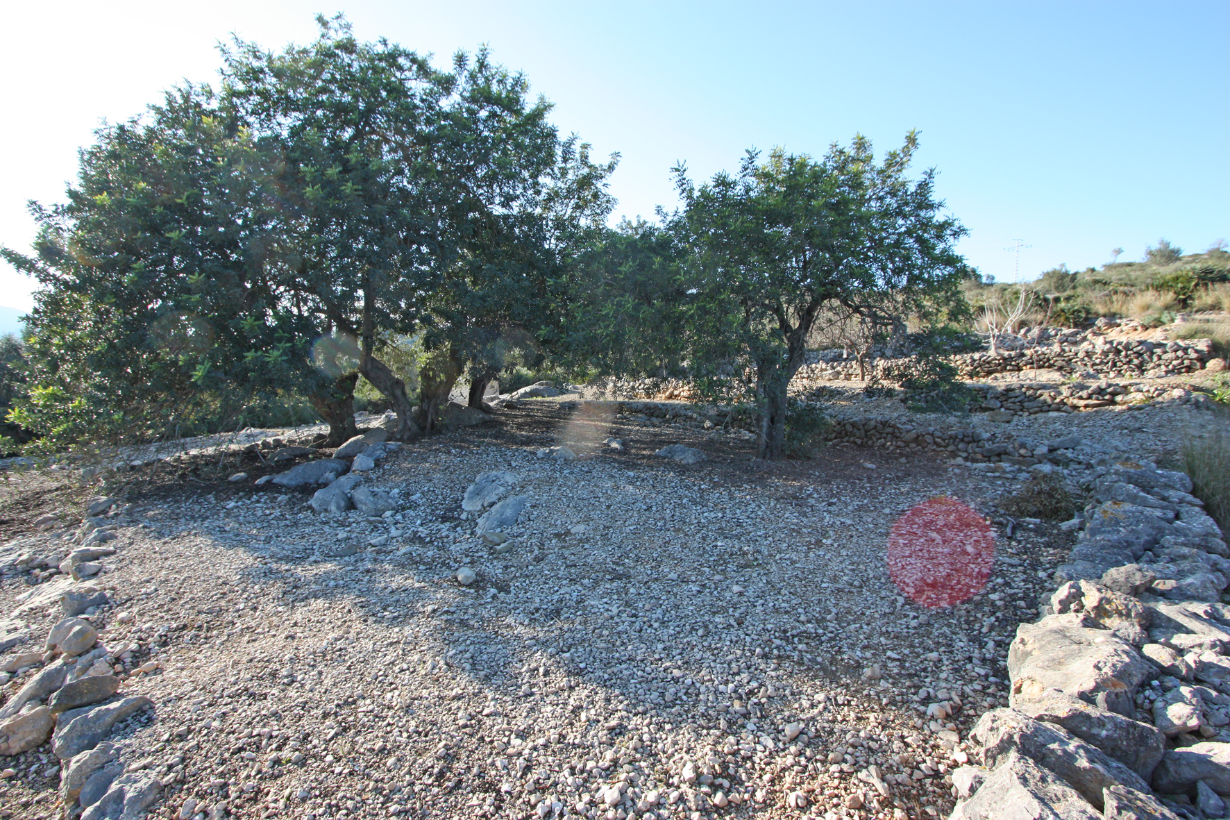 Land, For Sale