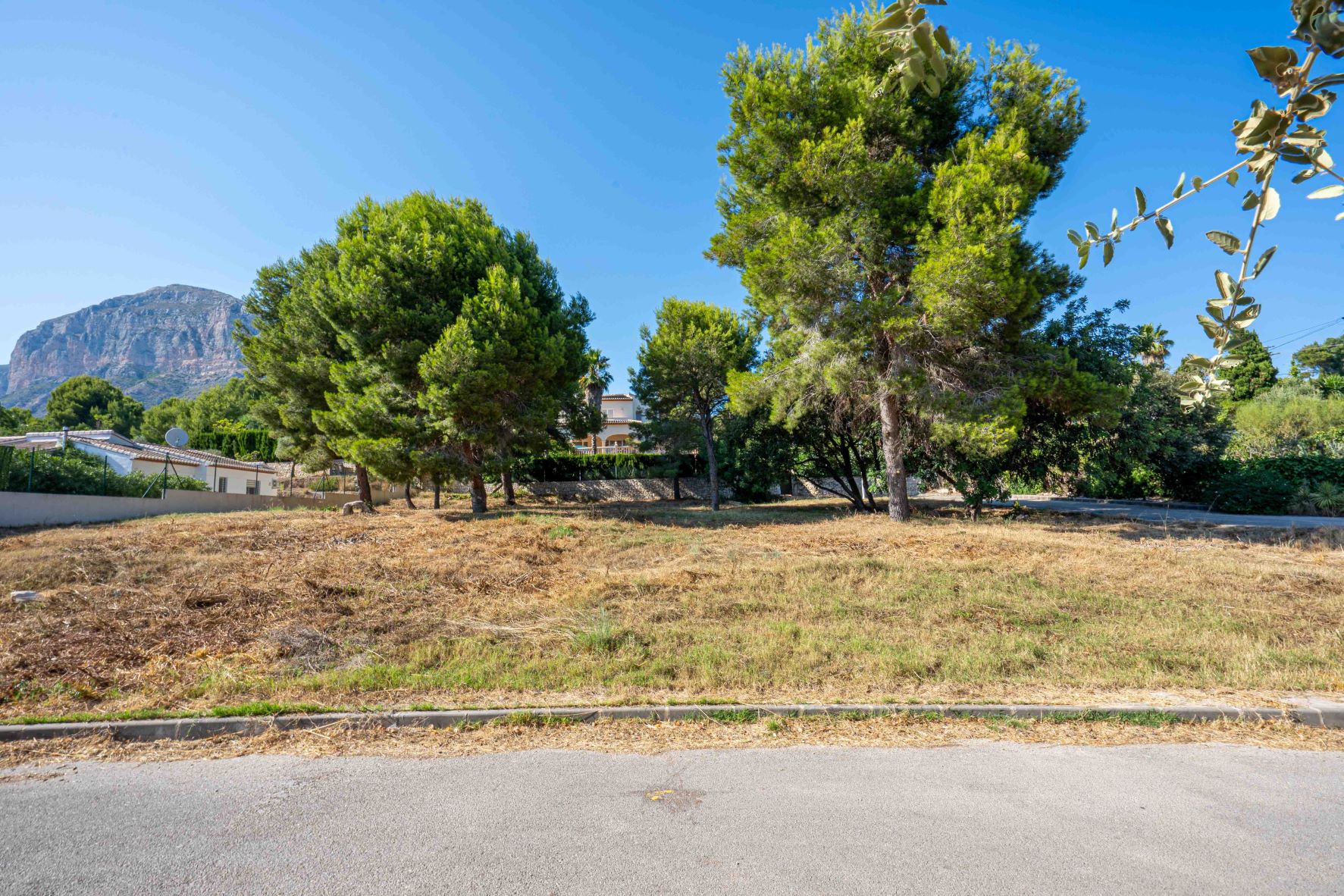 Land, For Sale