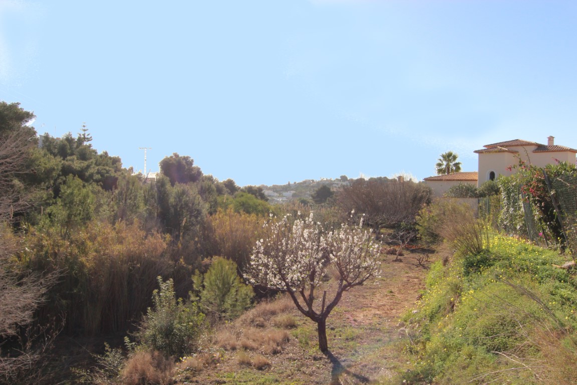 Land, For Sale