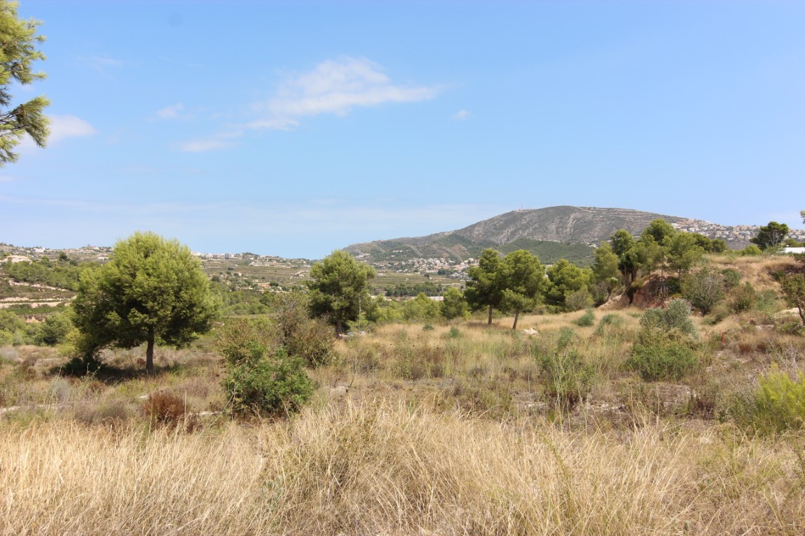 Land, For Sale