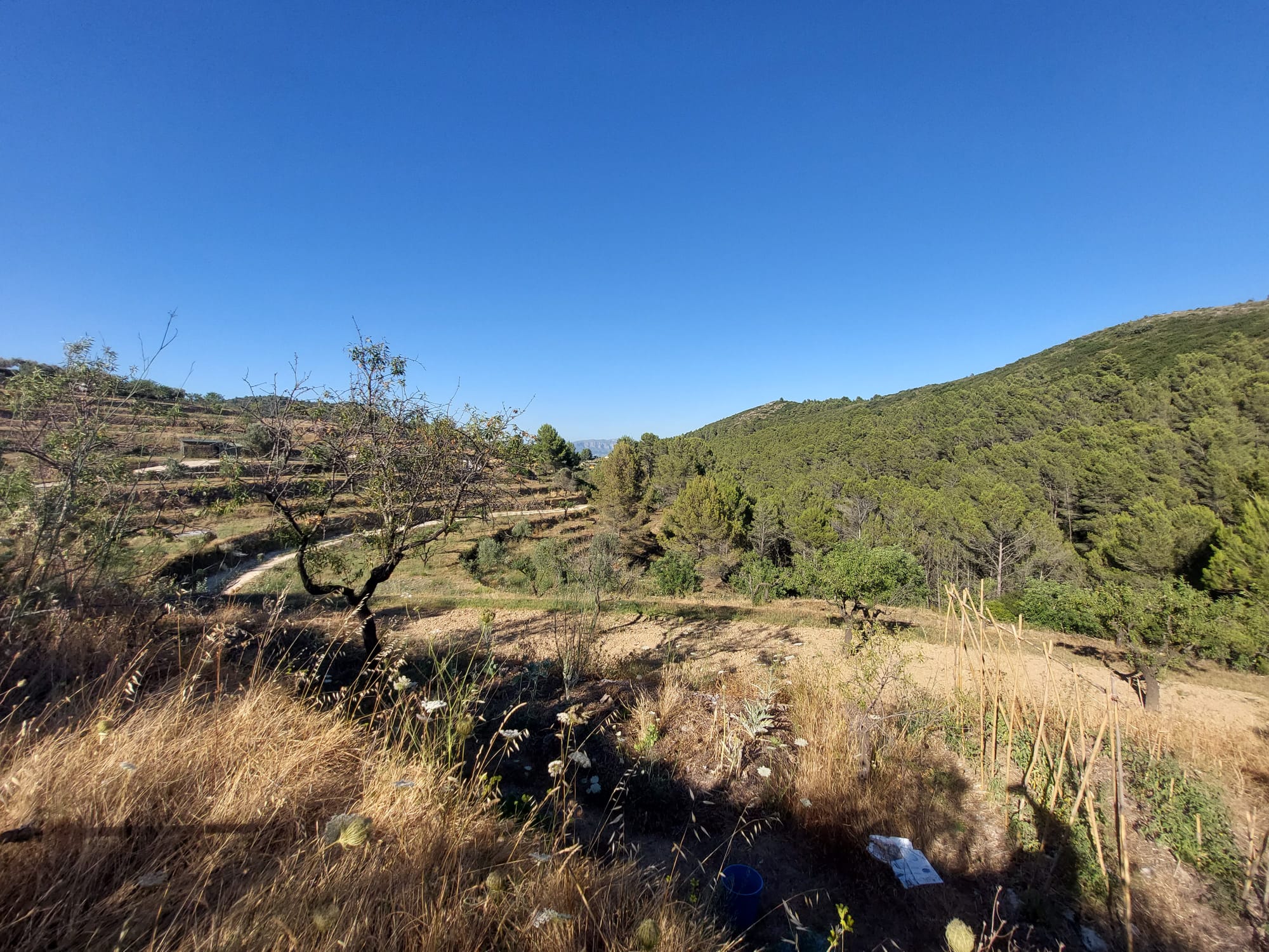 Land, For Sale