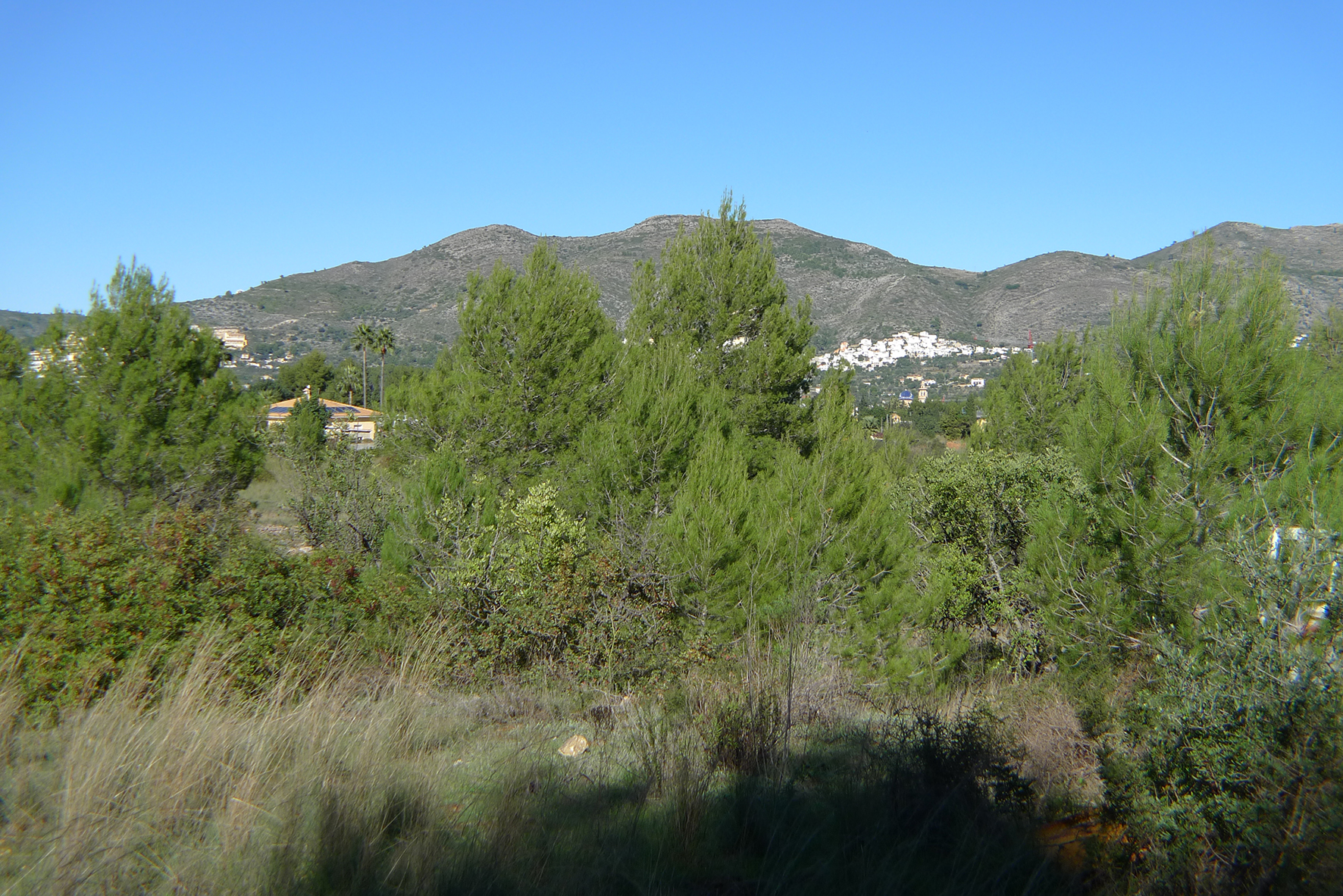 Land, For Sale