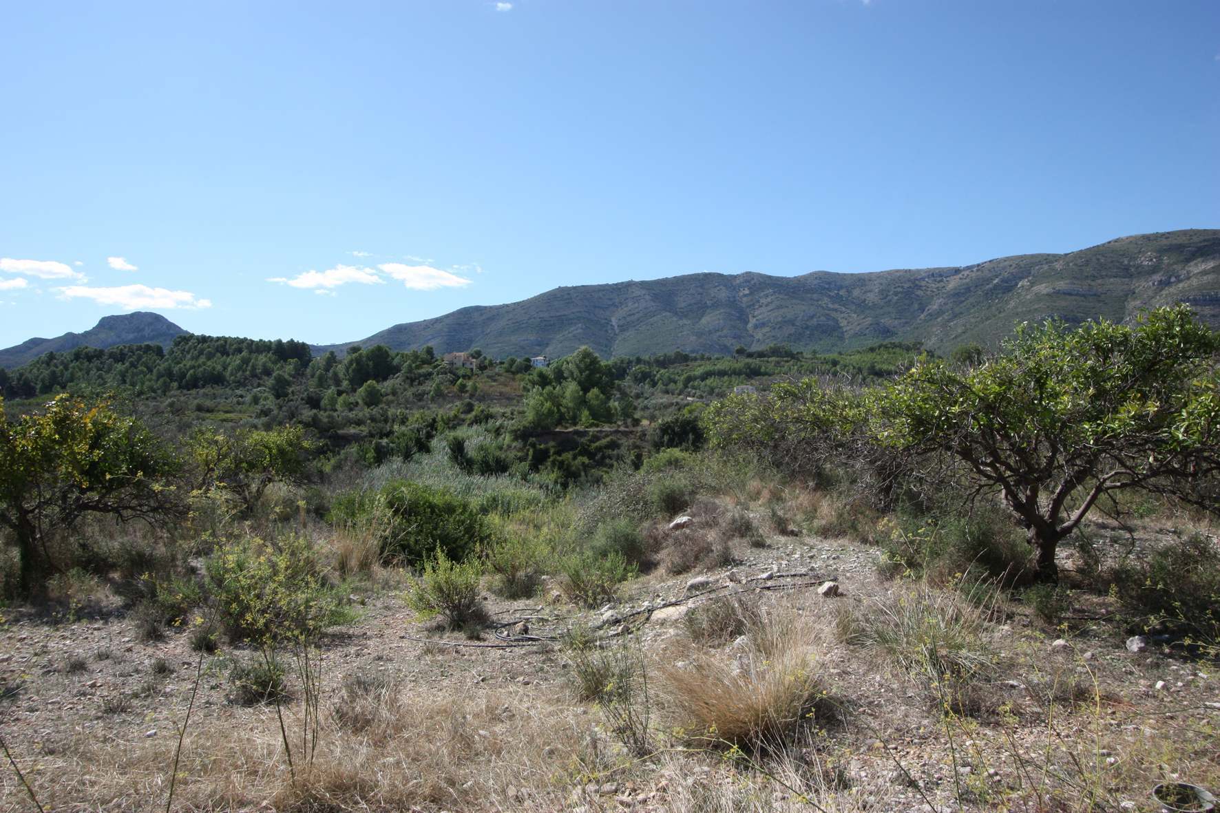 Land, For Sale