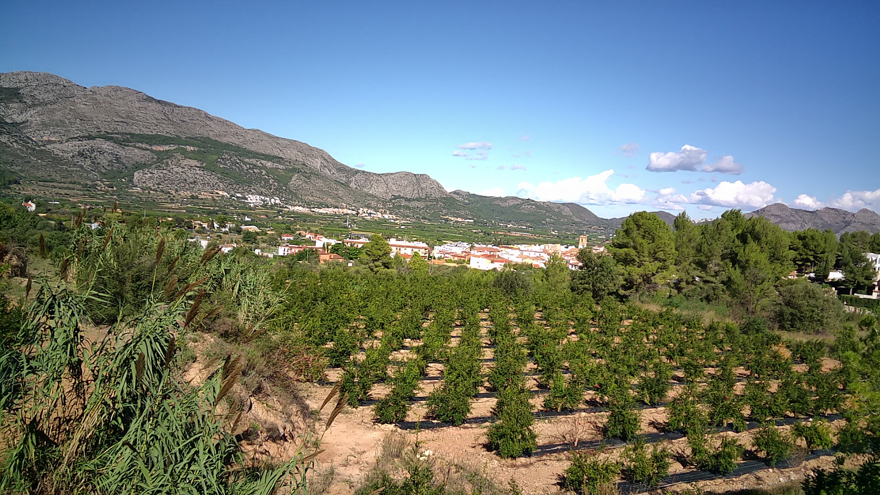 Land, For Sale