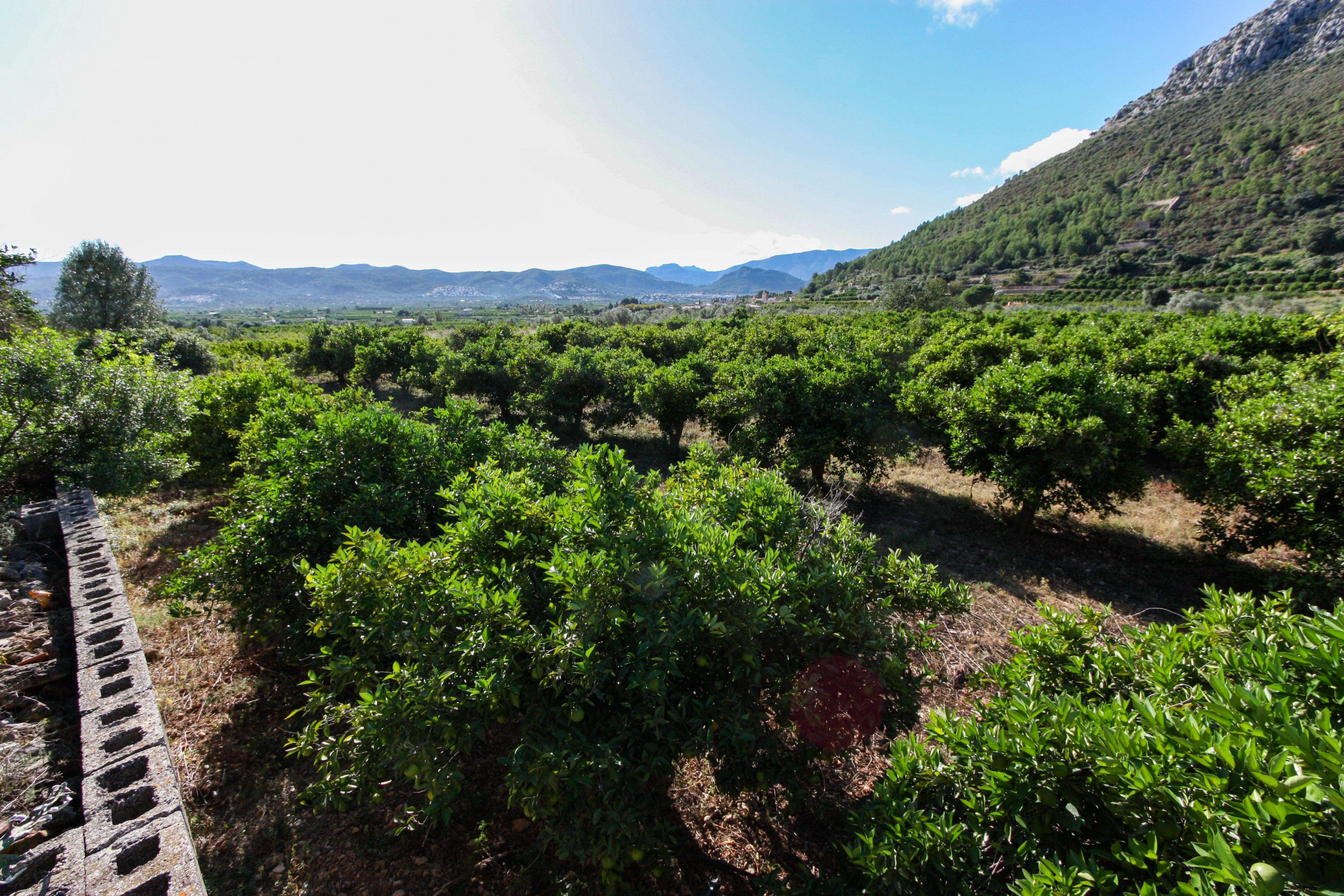 Land, For Sale