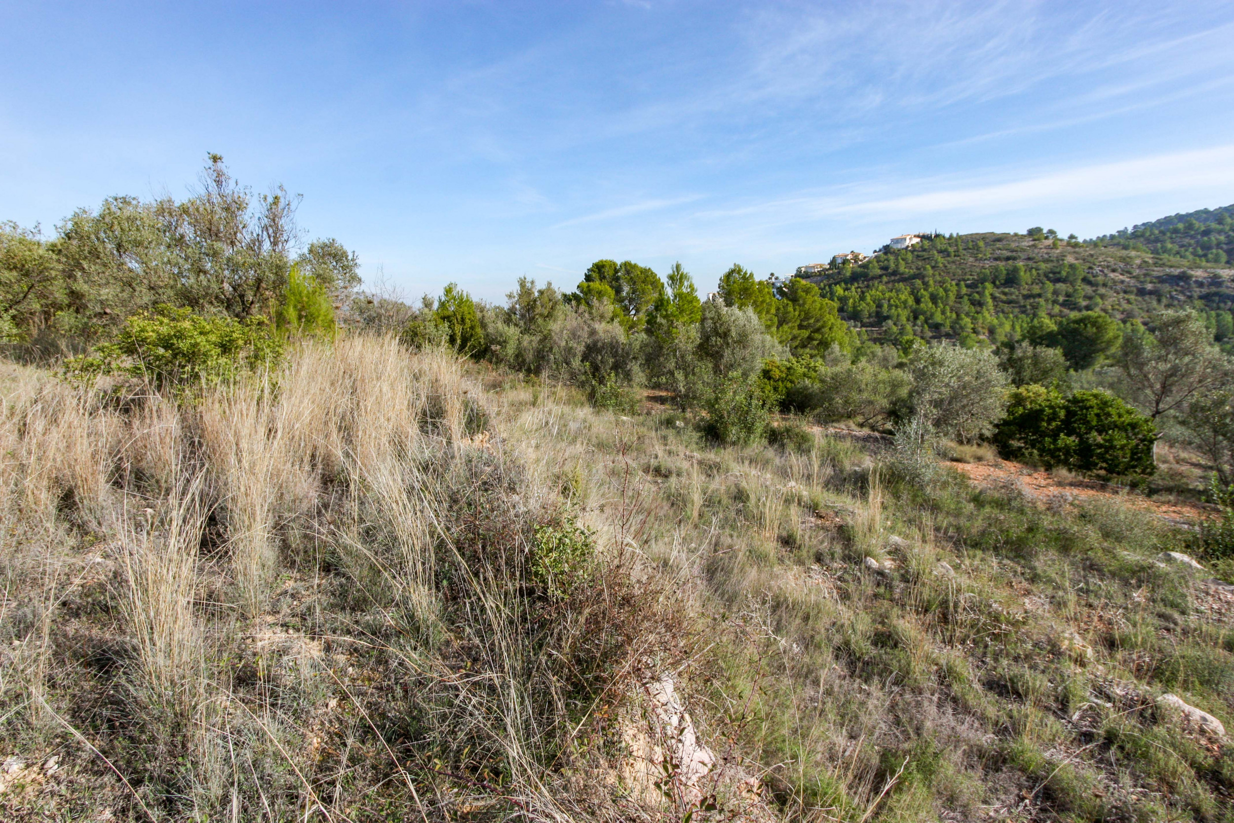 Land, For Sale