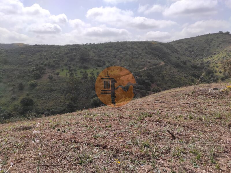 Land, For Sale