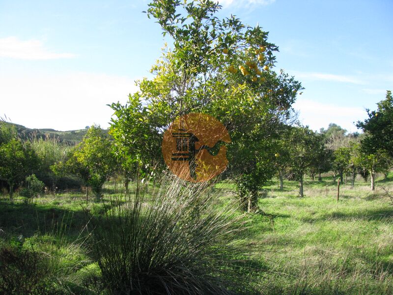 Land, For Sale