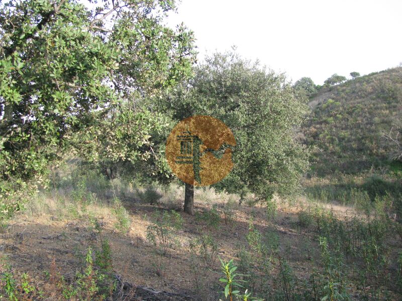 Land, For Sale
