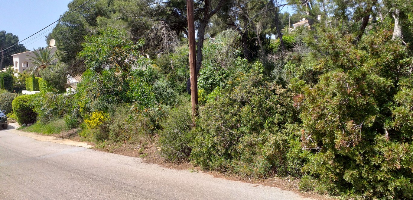 Land, For Sale