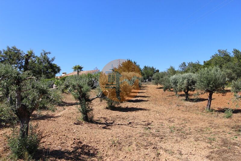 Land, For Sale