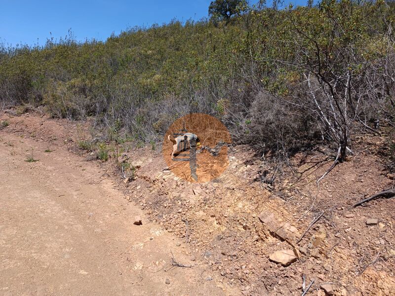Land, For Sale