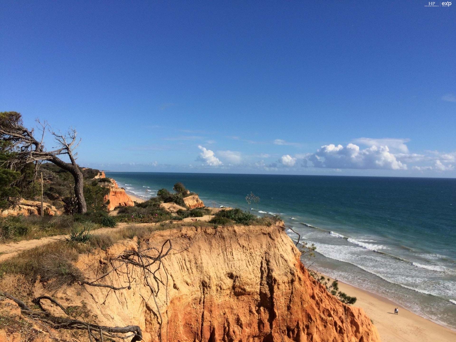 Land, For Sale