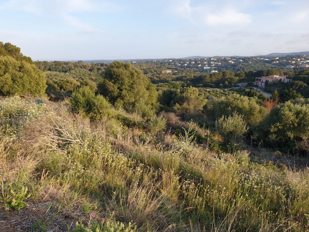 Land, For Sale