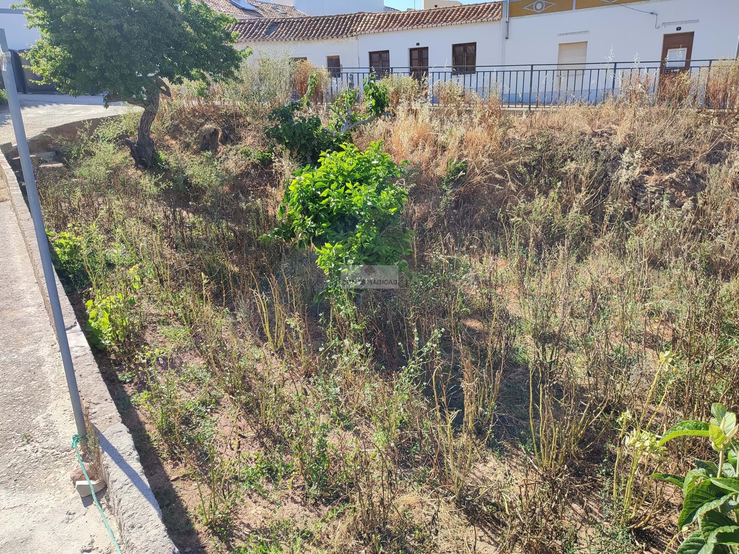 Land, For Sale