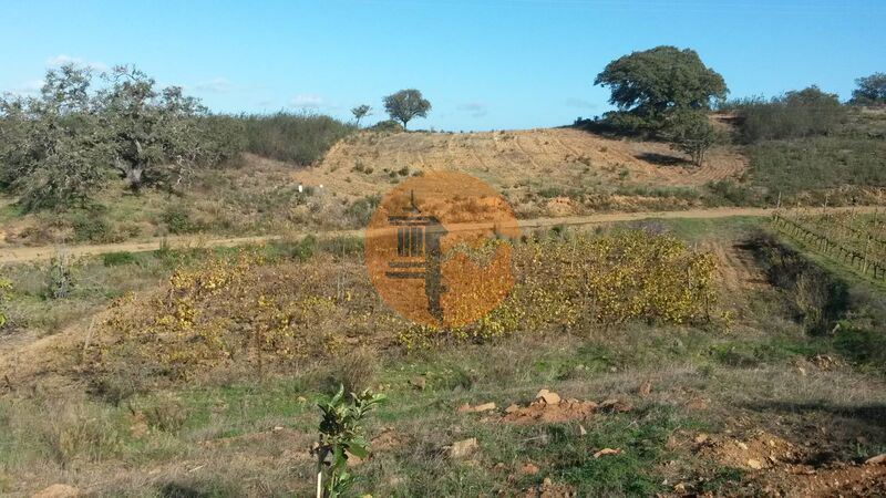 Land, For Sale