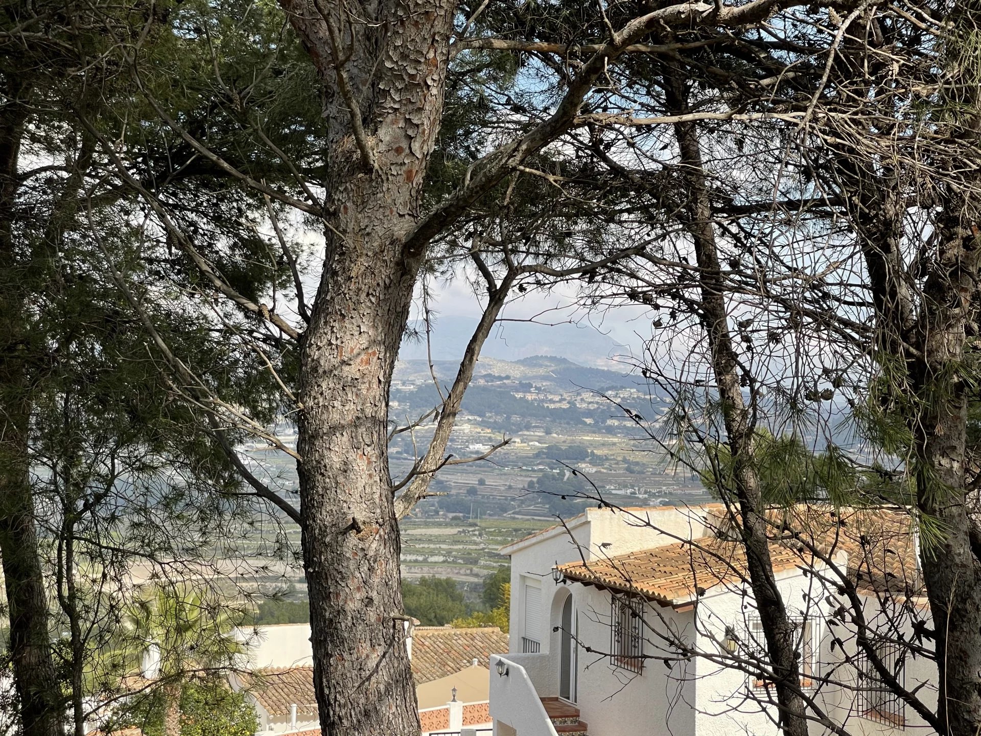 Land, For Sale