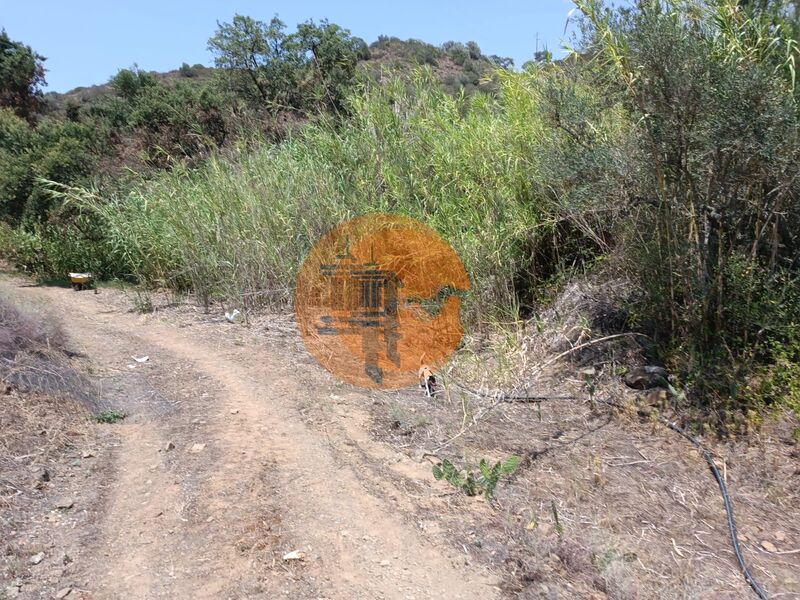 Land, For Sale