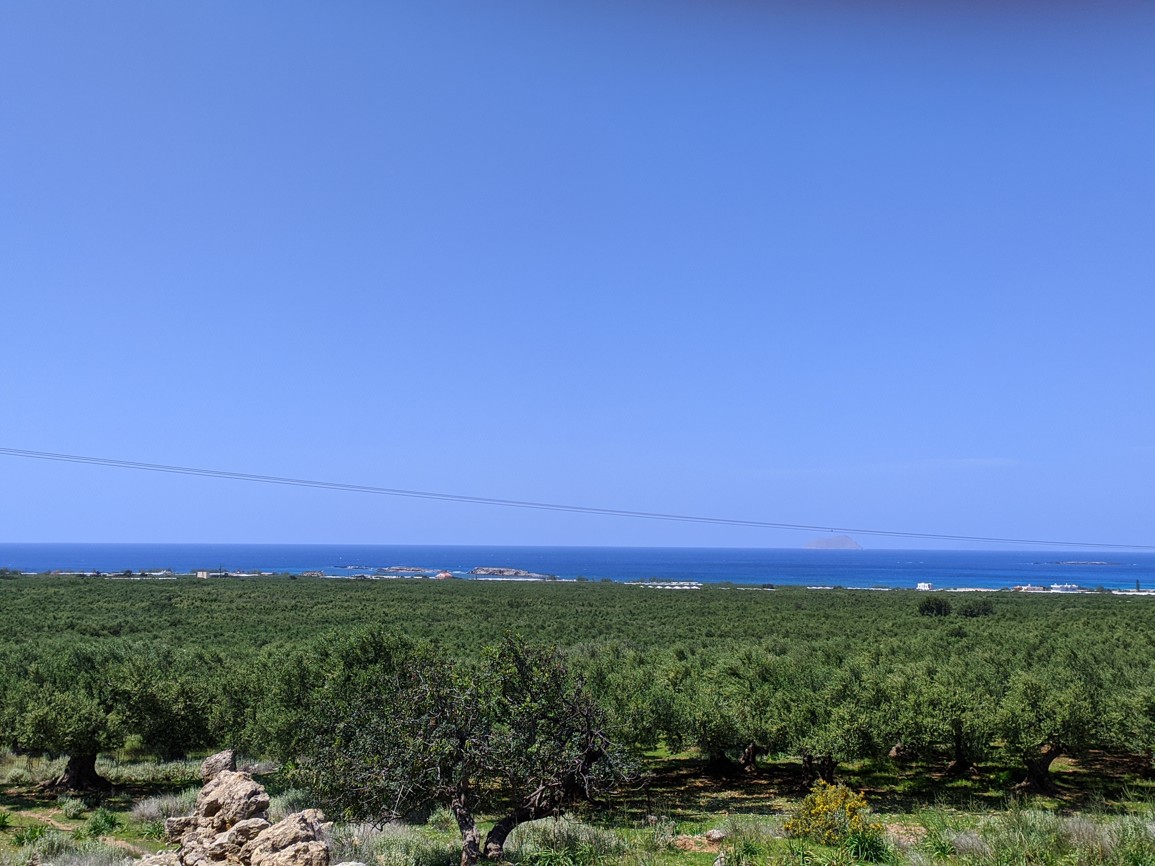 Land, For Sale