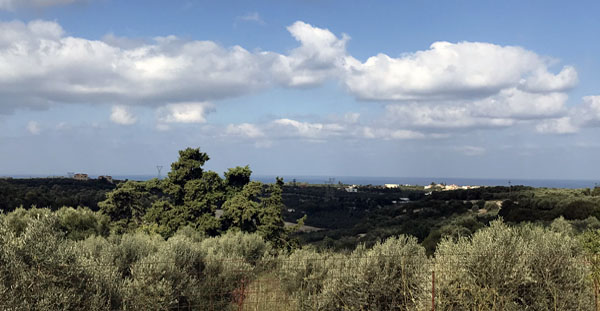 Land, For Sale