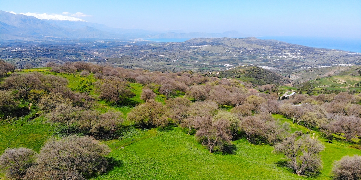 Land, For Sale