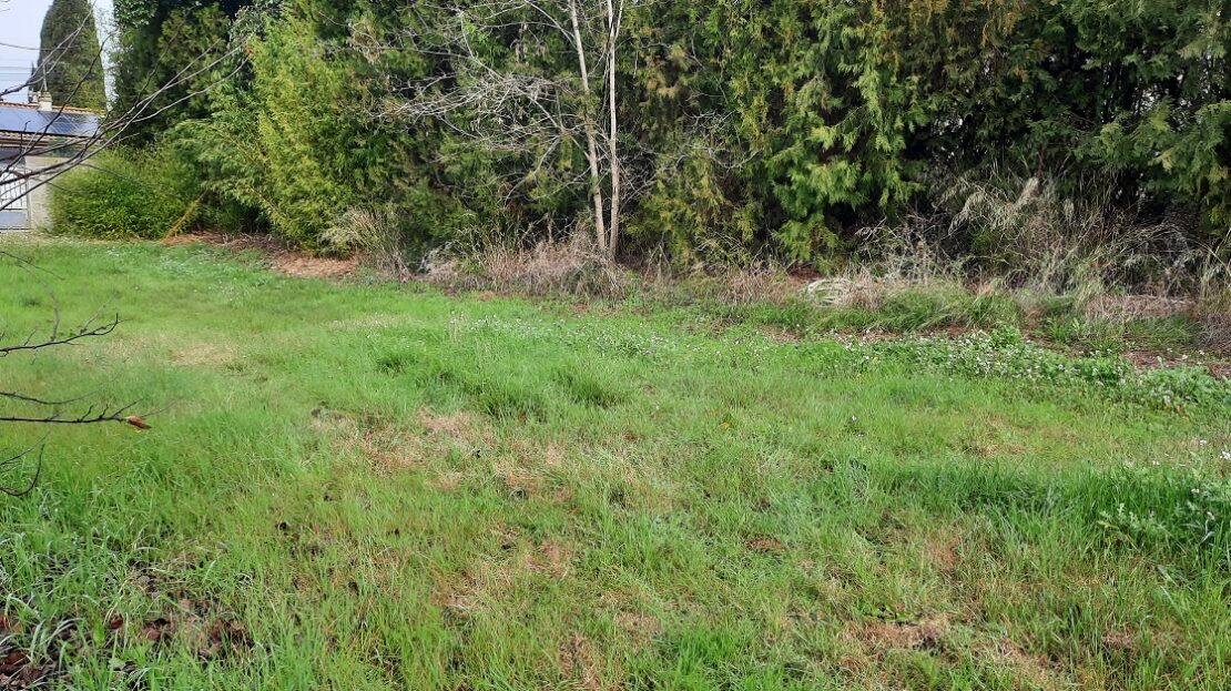 Other Property, For Sale