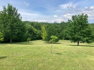 Land, For Sale