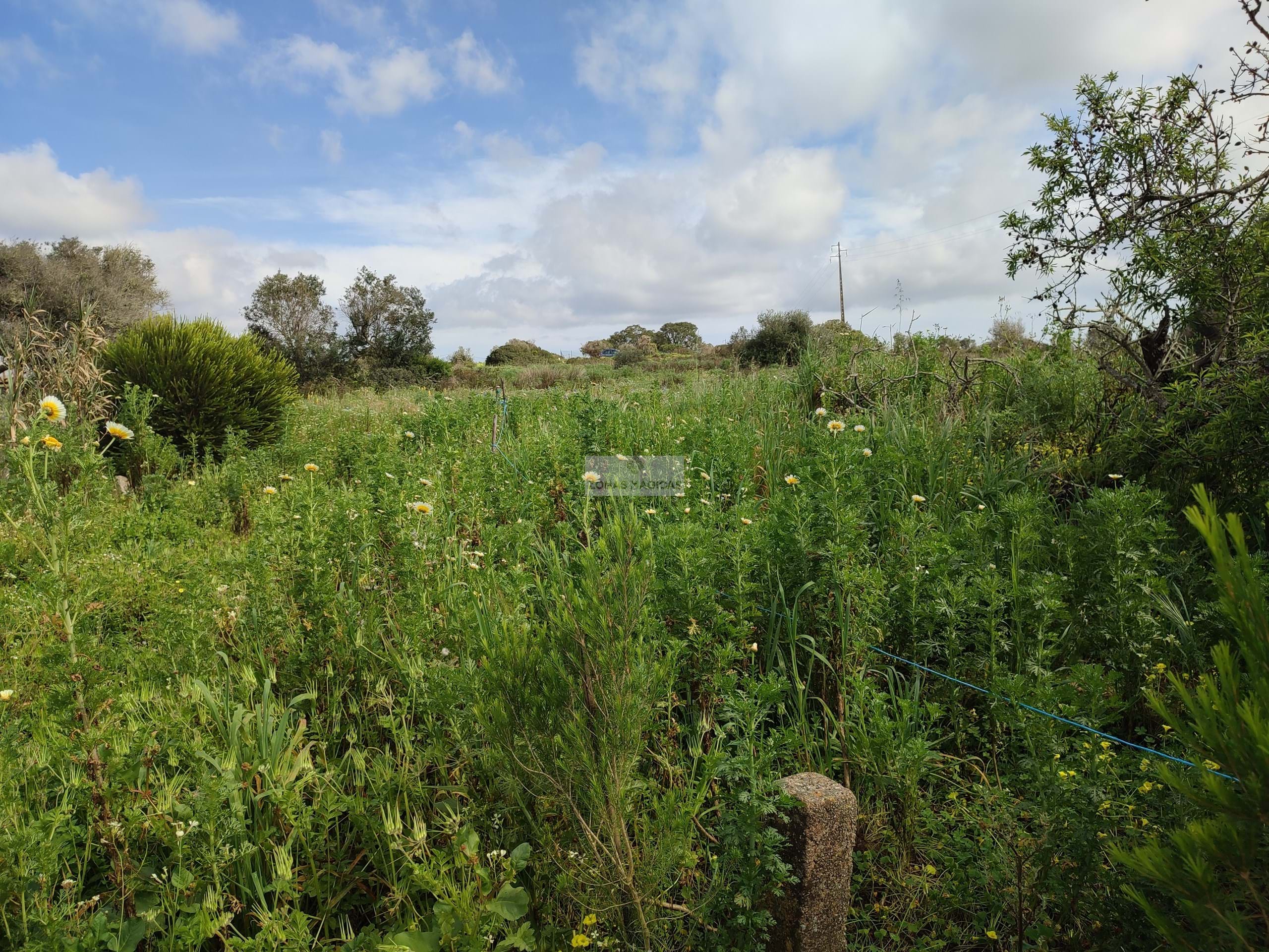 Land, For Sale