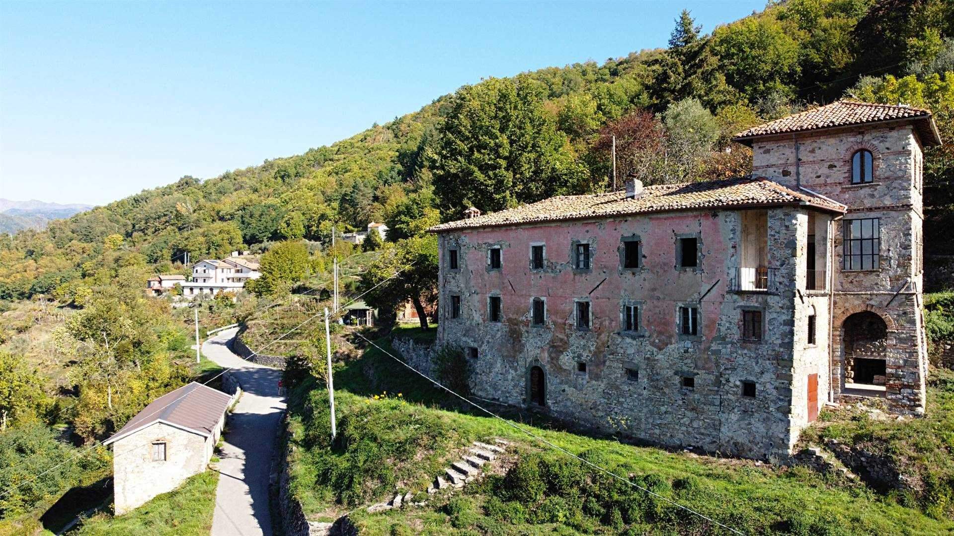 7 Bed, 2 Bath, HouseFor Sale, Fosciandora, LUCCA