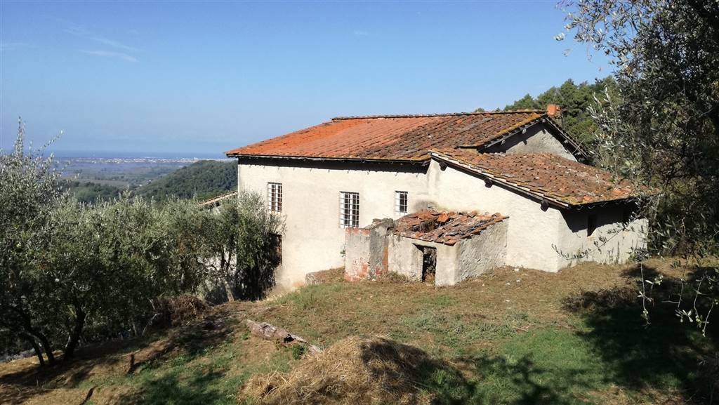 4 Bed, HouseFor Sale, Lucca, LUCCA